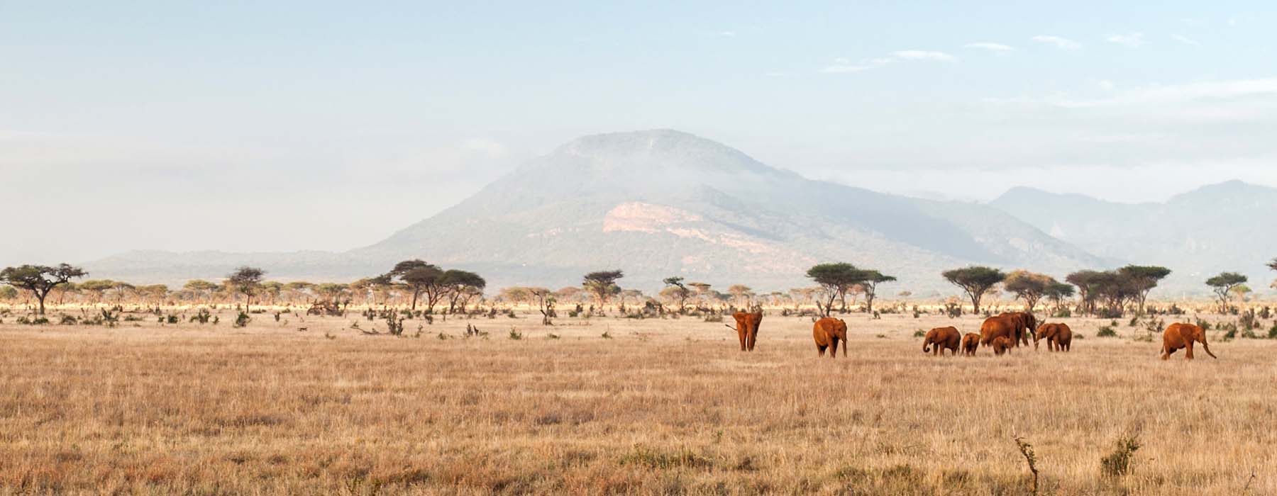 L'Esprit Voyageurs Kenya